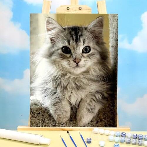 Animal Cat Paint By Numbers Complete Kit Acrylic Paints 50*70 Canvas Pictures New Design Adults Handiwork Wholesale Drawing