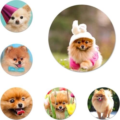 Pomeranian dog Icons Pins Badge Decoration Brooches Metal Badges For Clothes Backpack Decoration 58mm