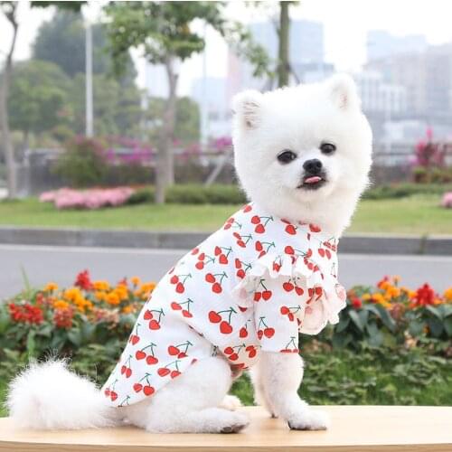 Cute Cherry T Shirt Dog Clothes For Small Dogs Cat French Bulldog Yorkies Chihuahua Teddy Dogs Pets Clothing Puppy Coat Costumes