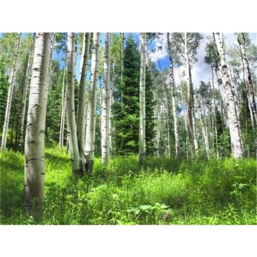 Landscape Tree DIY 11CT Cross Stitch Embroidery Kits Needlework Craft Set Printed Canvas Cotton Thread Home Dropshipping