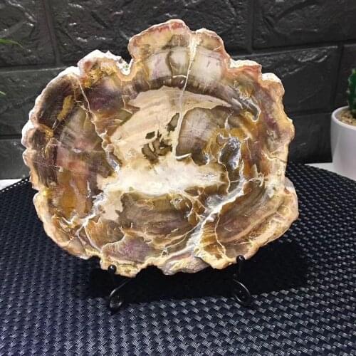 Natural stones and minerals crystal woodstone fossil tree for coaster home decoration wooden tree fossil madagascar