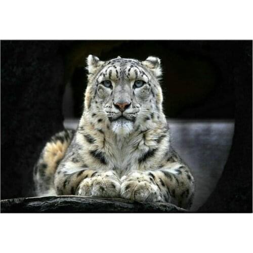 Full square / round diamond embroidery animal 5d diamond painting leopard sticker diamond mosaic tiger diamond art decoration