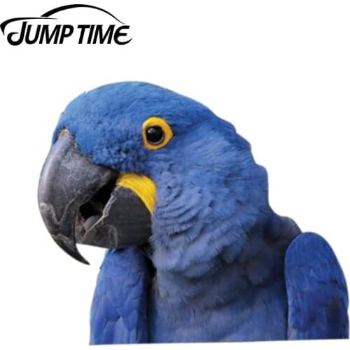 Jump Time 13cm x 11cm Hyazinth-Ara window sticker car decal Vinyl Decal Car Window Laptop Bumper Animal Car Stickers