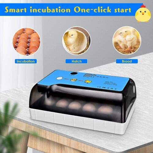 Motorcycle Key Cover Modified Crective CNC Keychain Decorative Modification Parts Universal Titanium Alloy Key Head Covers New