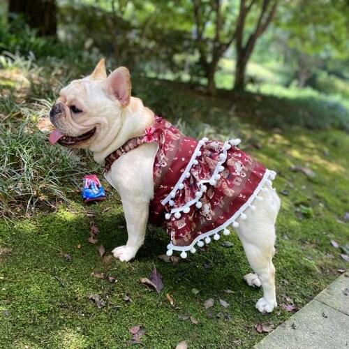 French Bulldog Dog Dress Summer Pug Clothes Poodle Schnauzer Welsh Corgi Shiba Inu Dog Clothing Dresses Dropship Pet Costume