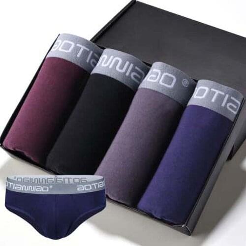 New Mens Panties Male Underpants U-Convex Ultra-Thin Sexy Large Size L XL XXL 3XL 4XL 5XL Cotton Panties Sexy Briefs Men