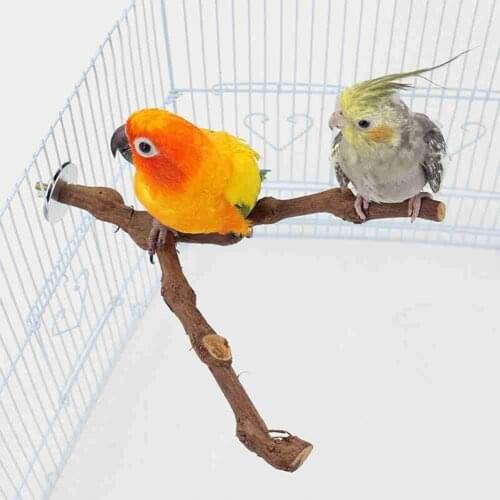 Pet Parrot Bird Standing Stick Wild Grape Wood Pole Bird Cockatiel Parakeet Perches Bite Claw Grinding Toy Bird Cage Accessories