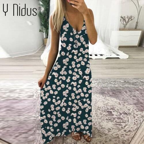 Y Nidus Women Underwear