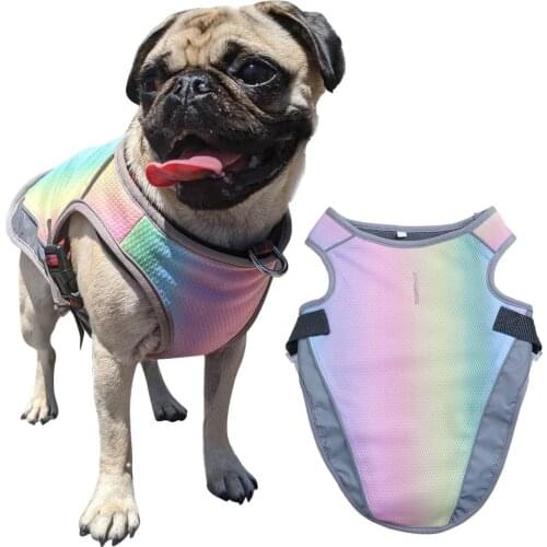 Summer Dog Cooling Rainbow Color Pet Cool Clothes Summer Law Fight Heatstroke Prevention Vest Dog Cooling Vest Clothes