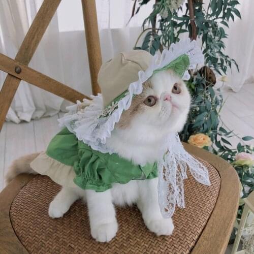 Cat Lolita Dress Dog Chihuahua Skirt Yorkshire Pomeranian BIchon Poodle Schnauzer Puppy Summer Sukienka Pet Clothing Dropship