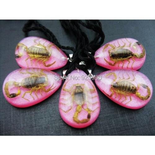 FREE SHIPPING 10 PCS Golden Scorpion Specimen Pink Glitter Resin Necklace