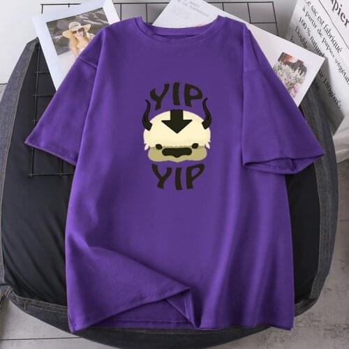 O-neck Female Summer Oversize Camisetas Anime Avatar The Last Airbender Woman T-shirts Fashion Hip Hop High Quality Lady Clothes