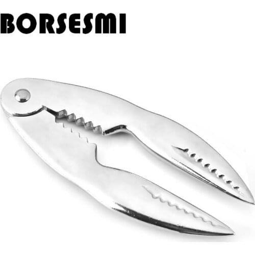 BORSESMI Computer Hardware And Software