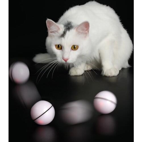 Smart Interactive Cat Toy Ball Colorful LED Self Rotating Ball USB Rechargeable Cat Ball Toy Playing Pet Supplies for Dropship