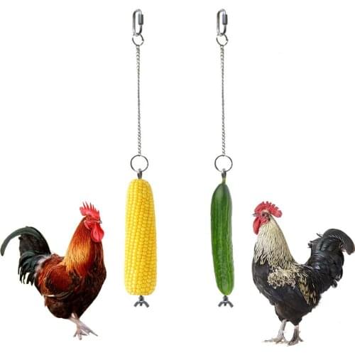 2020 New High Quality Pet Parrots Birds Food Holder Support Stainless Steel Fruit Spear Stick Meat Fruit Vegetable Skewer
