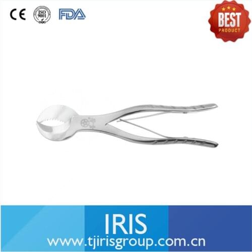 2 Pieces/Lot Stainless Steel Dental Lab Dentist Orthodontic Oral Hygiene Plaster Shears Scissors 20 cm 16cm