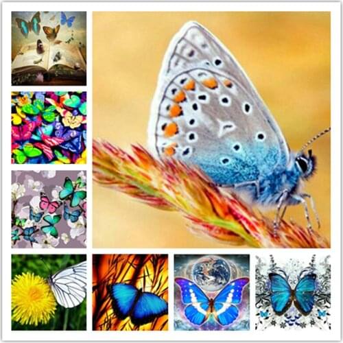 5d diy diamond painting "Butterfly" full square drill 3D diamond mosaic crafts decorative painting Butterfly 20x25cm