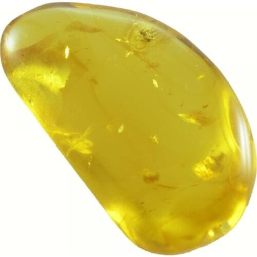 12.73ct Baltic Amber with insect cabochon 27x15mm