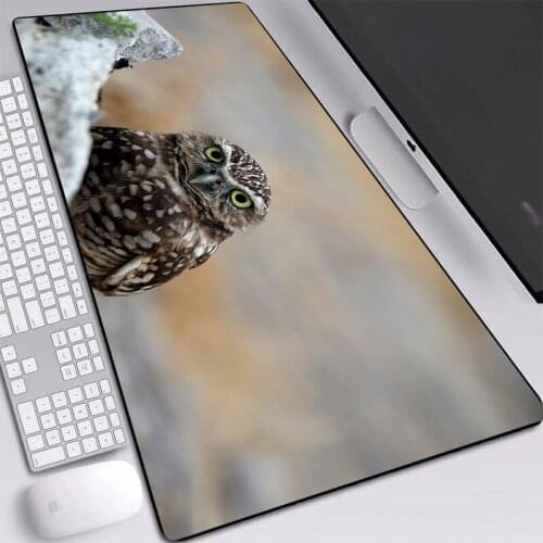 Extended Large Mouse-Pad Cute Owl Pattern Pad Non-slip Nature Softy Rubber with Locking Edge Desk Mat for LOL DOTA Games
