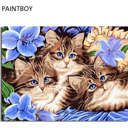 PAINTBOY Framed Picture Painting By Numbers Animal Cat DIY Oil Painting On Canvas Home Decor For Living Room 40*50cm GX3071