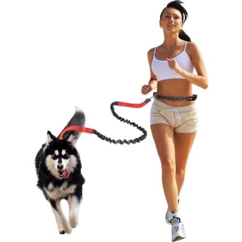 Outdoor Reflective Leash Traction Rope Pet Dog Running Belt Elastic Hands Freely Jogging Pull Dog Leash Metal D-ring Leashes