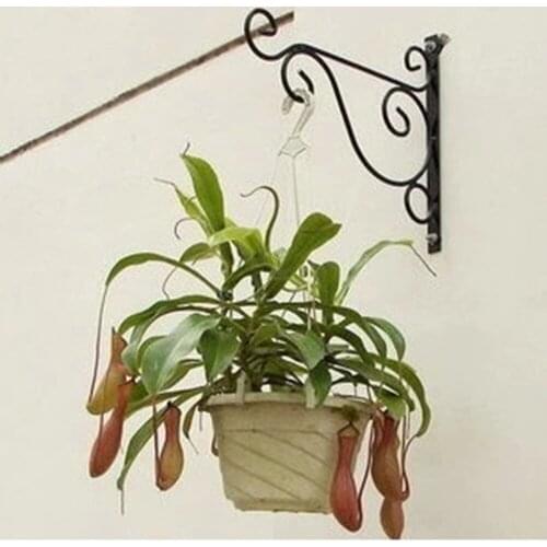 Modern Wall-mounted Iron Hanging Basket Balcony Plant Stand Flower Pot Hook Holder Garden Vintage Decorations Metal Art Frame
