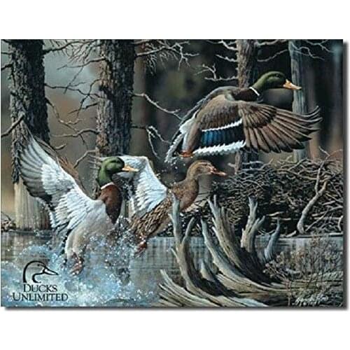 Ducks Unlimited Beaver Pond Hunt Rustic Cabin Wall Art Decor Metal Tin Sign 8x12in New