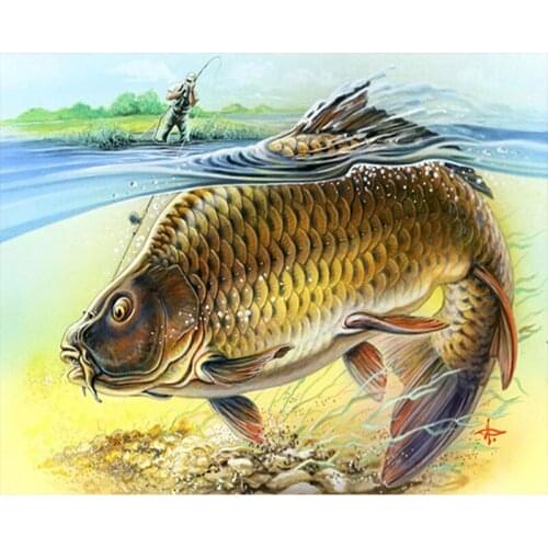 40x50cm Oli Painting By Numbers Kit DIY Fierce goldfish Canvas Oil Art Picture Home Decor Animal Handmade Gifts no frame