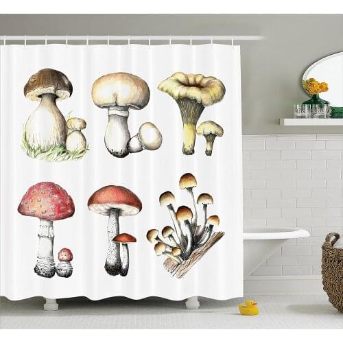 Mushroom Shower Curtain Hand Drawn Fungus Amanita Muscaria Boletus Champignon Retro Illustration Bath Curtains For Bathroom