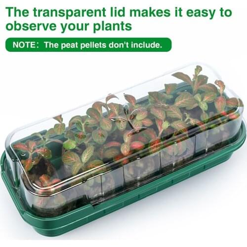 10 Hole Plant Seed Grows Box Nursery Seedling Starter Garden Yard Tray Hot Creative Eco-friendly Garden Yard Tray Heat