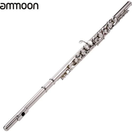 Western Concert Flute Silver Plated 16 Holes C Key Cupronickel Woodwind Instrument with Cleaning Cloth Stick Bag
