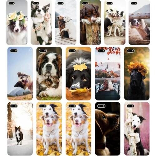 257H Cute Dog Cat Soft Silicone Tpu Cover Case for huawei Honor 7a pro 7x play case