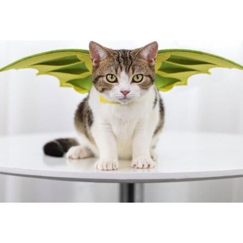 New Pet Dinosaur Wing Light and Fluffy Neck Halloween Cat and Dog Cute Fashion Dress Pet Supplies Habitat Décor Small Animals Re
