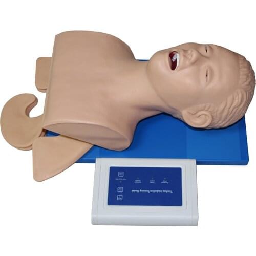Intubation Manikin Study Teaching Model Airway Management Trainer PVC With Teeth 110-220V