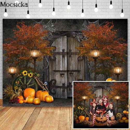 Vintage Wooden Door Halloween Photoshoot Backdrop Child Adult Birthday Art Professional Photography Backgrounds Photo Studio