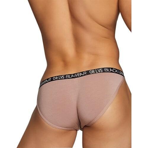 ORLVS Sexy Underwear Men Briefs Modal New Male Panties Comfortable Mens Underpants Slip Quick Dry Soft Man Lingerie OR6102