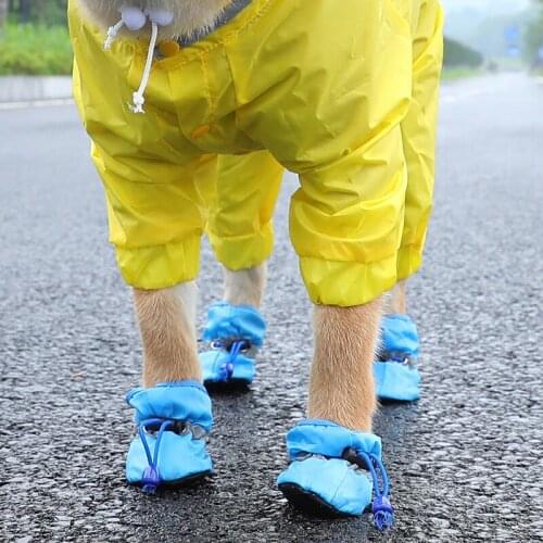 Shaggy Kid Clothes And Footwear For Dogs