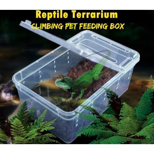 20Pcs Plastic Transparent Feeding Box Insect Hatching Container Portable Reptile Terrarium Habitat For Lizard Spider Frog Snake