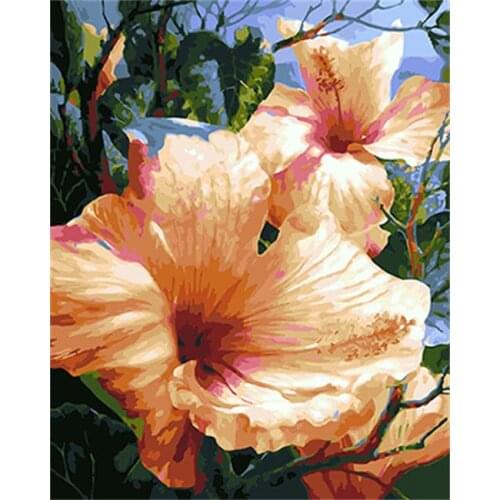 DRAWJOY Framed Flower DIY Painting By Numbers Wall Art DIY Canvas Oil Painting Home Decor For Living Room Wall Art