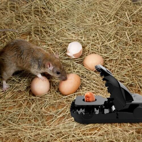 Kitchen Home Mouse Trap Reusable Rat Catching Mice Mouse Traps Mousetrap Bait Snap Spring Trap Tool Rodent Catcher Supplies tool