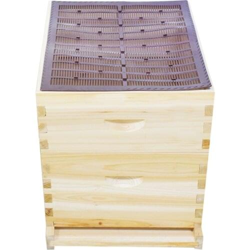 1PCS 10 Frames Plastic Beehive Propolis Collector for Beekeeping Bee Propolis Harvested