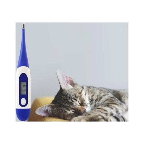 Pet Thermometers
