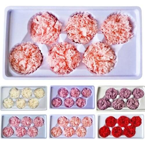 6PCs/Box Artificial Dried Flower Carnation Landscaping Dried Flower Thanksgiving Gift Floral Box for Mothers Day