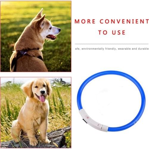 Dog Collar USB Rechargeable Light-emitting Pet Collar TPU Can Cut Dog Safety Light Suitable For Small And Medium Dogs