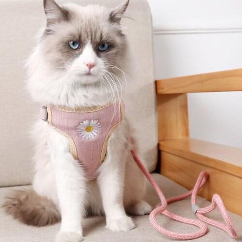 Cat Dog Harness Vest Collar Outdoor Walking Lead Leash Set For Puppy Dogs Collar Daisy Harness Vest For Dog Cat Pet Supplies