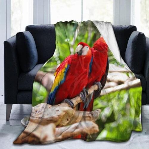 Cartoon anime clown zombie winter soft warm flannel throw blanket happy nap bed French blanket shawl sofa cover