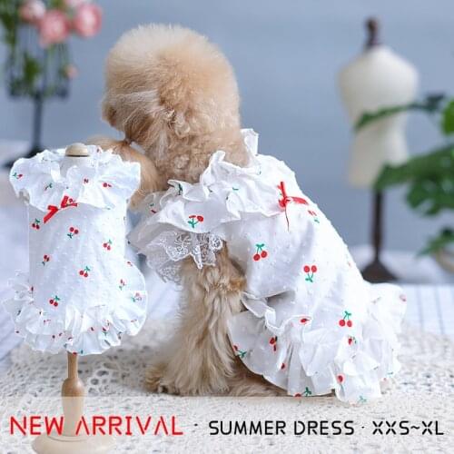 Puppy Clothes Summer Dog Dresses for Small Dogs Cute Bubble Skirts Princess Pomeranian Teddy Yorkie Corgi Chihuahua Pet Costume
