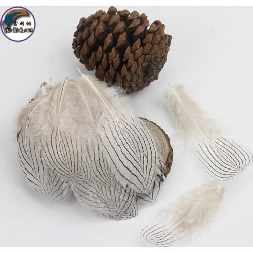 2.4-4.8 Inch(6-12 cm)Wholesale Quality Dyed Patterned Silver Pheasant Cusp Feather for Decorations