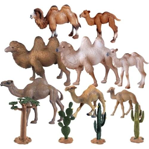 Simulation Animal Figurines Desert Camel Solid Static Model Double-Humped Dromedary Camel Figure Educational Toy Playset For Kid