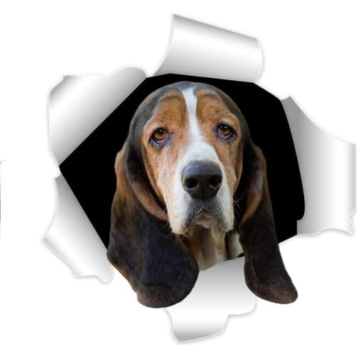 Three Ratels Basset dog 3D vivid stickerswall stickers for bathroom laptop Dining room decoration